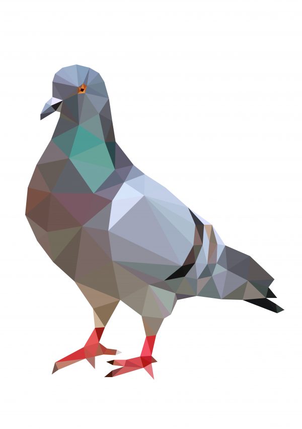 Geometric Pigeon - Michail Kaus