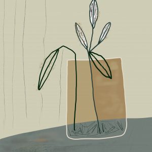 Plant
