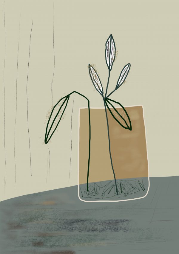 Plant