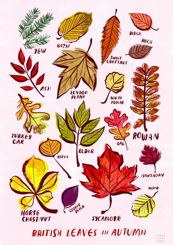 British Leaves
