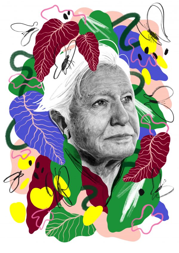 Attenborough - Jordan Andrew Carter
