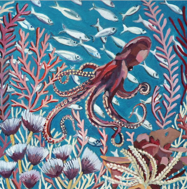 Pink Octopus