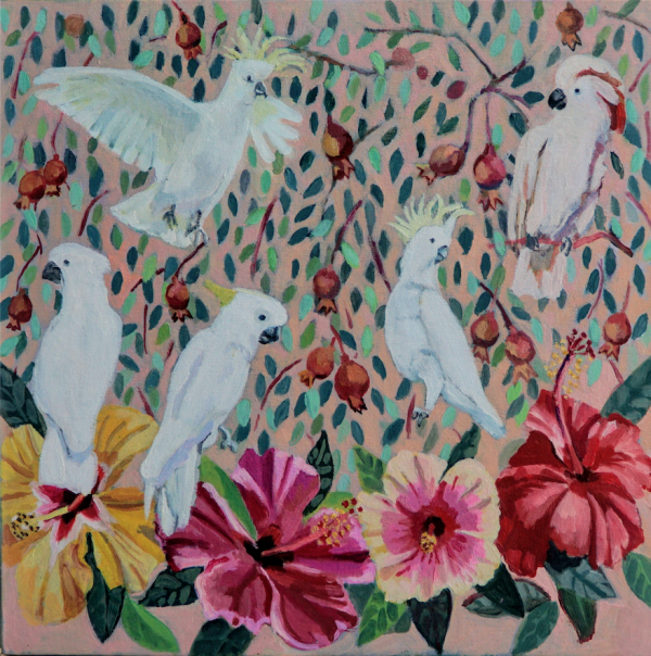 Cockatoos
