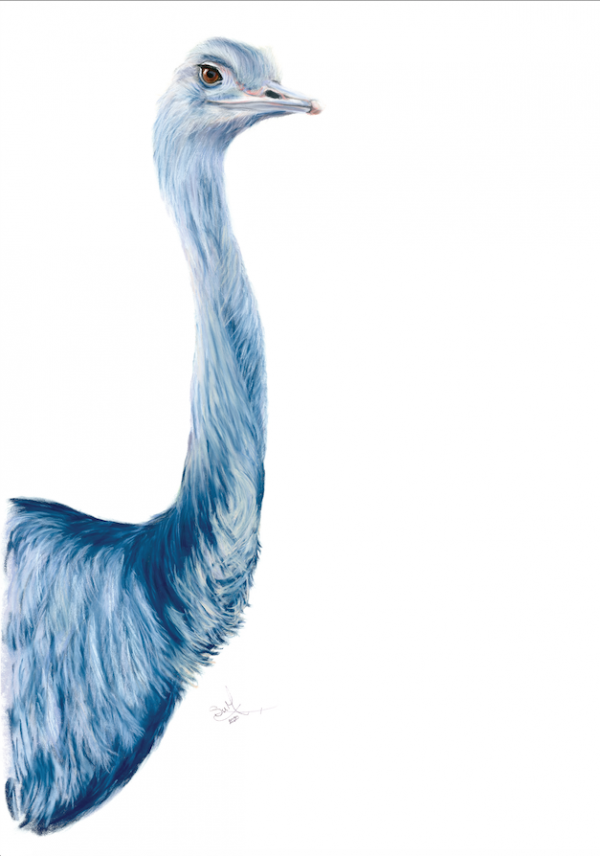 Blue Ostrich