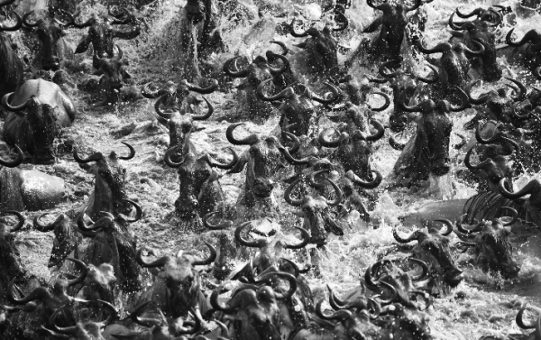 Mara Chaos