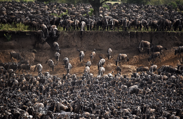 Greener Pastured