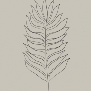 Plant 1