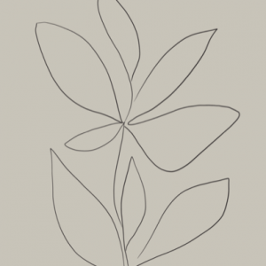 Plant 4