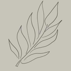 Plant 2