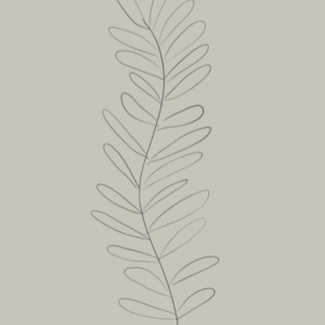 Plant 3