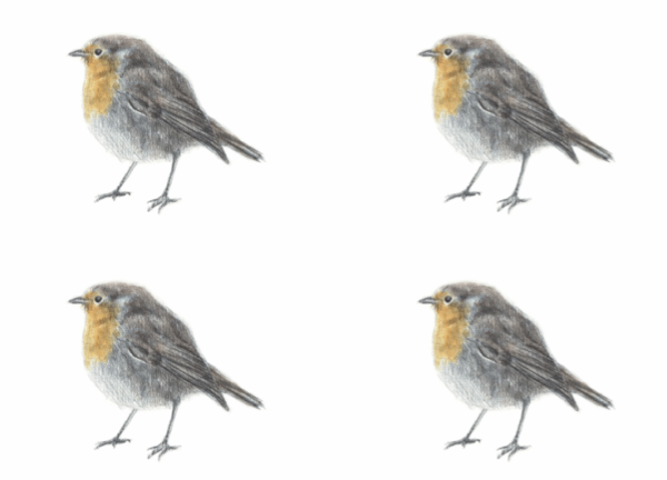 Robin