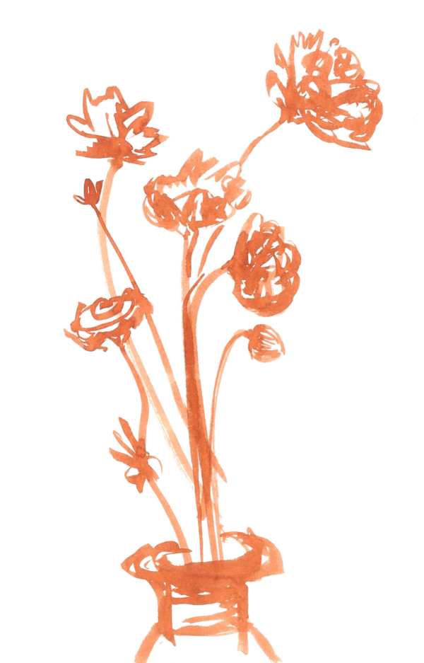 Zinnias