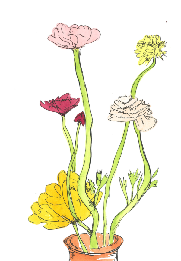 Mixed Flowers