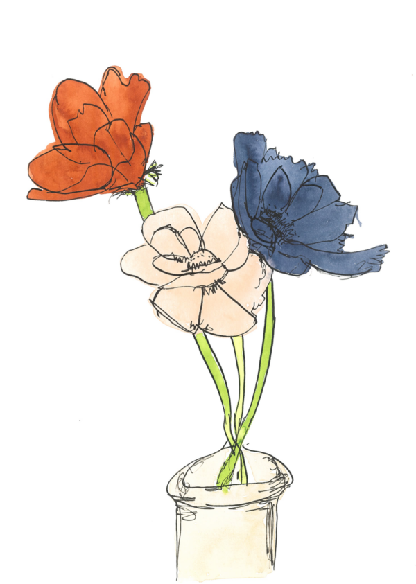 Peonies