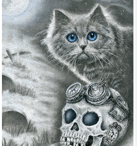 SP skull n cat