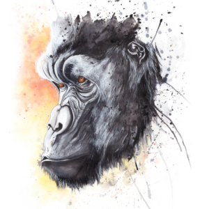 Gorilla