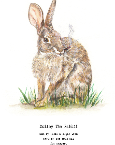 Dudley the Rabbit