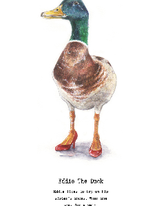 Eddie The Duck