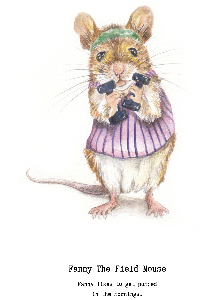 Fanny the field mouse