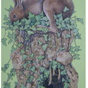 Hare