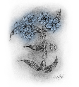 steampunk forget me not