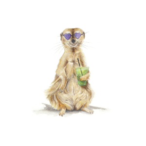 Meerkat